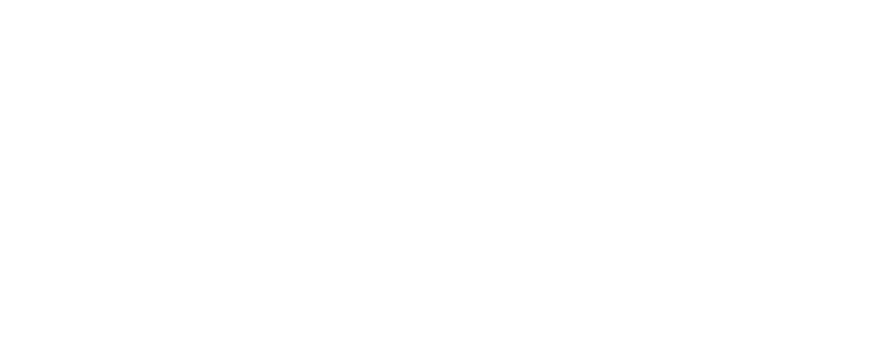 Diplomax Logo