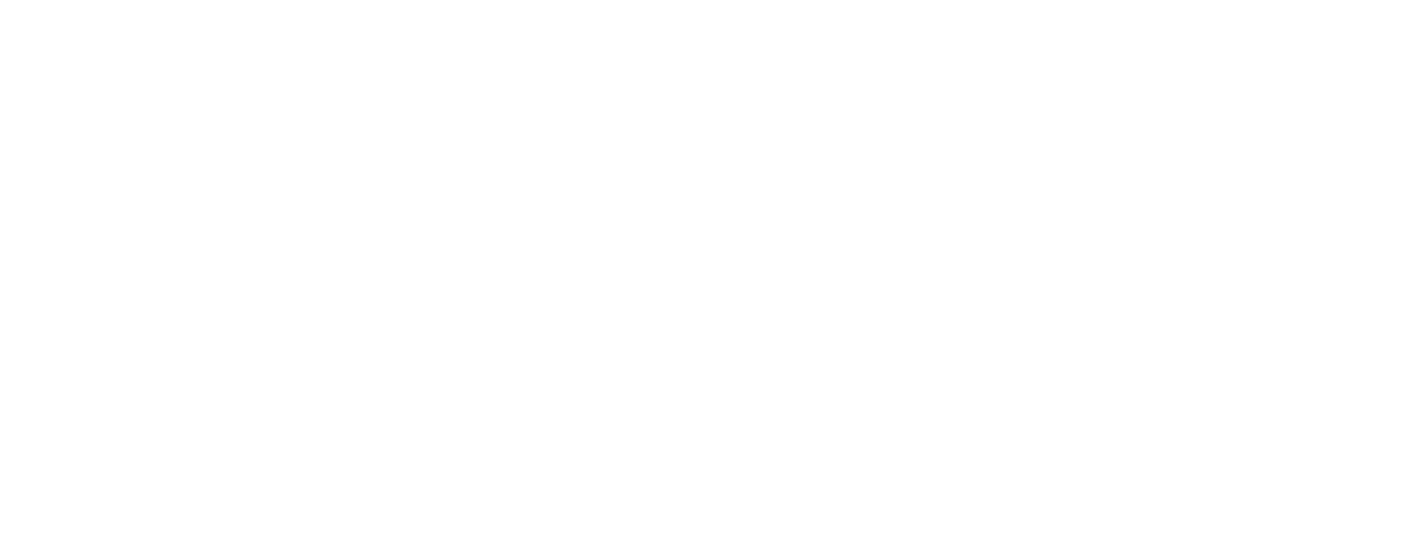 Diplomax Logo